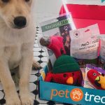 Pet Treater subscription box