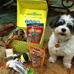 Surprise My Pet subscription box