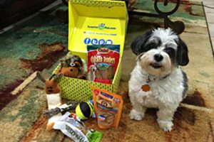 Surprise My Pet subscription box