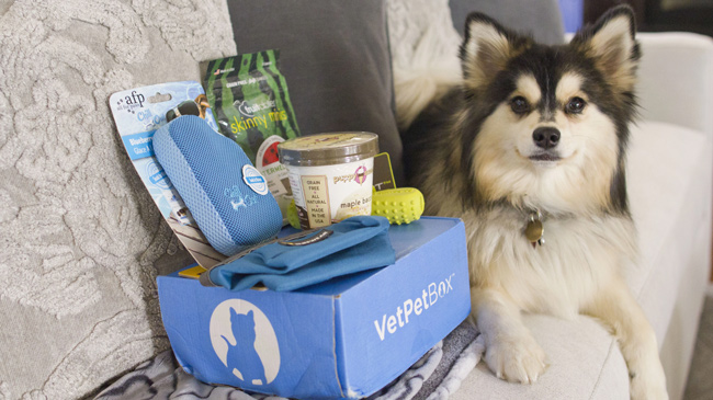 VetPet Box dog subscription box