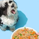 petplate dog and meal